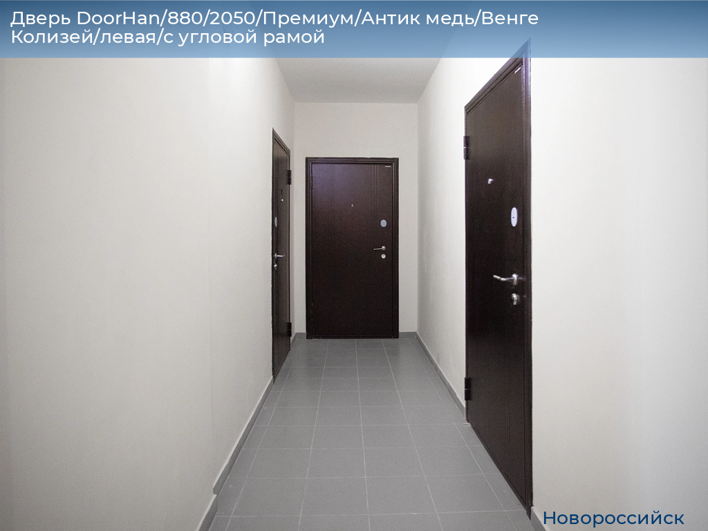 Дверь DoorHan/880/2050/Премиум/Антик медь/Венге Колизей/левая/с угловой рамой, novorossiysk.doorhan.ru