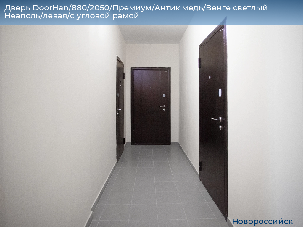 Дверь DoorHan/880/2050/Премиум/Антик медь/Венге светлый Неаполь/левая/с угловой рамой, novorossiysk.doorhan.ru