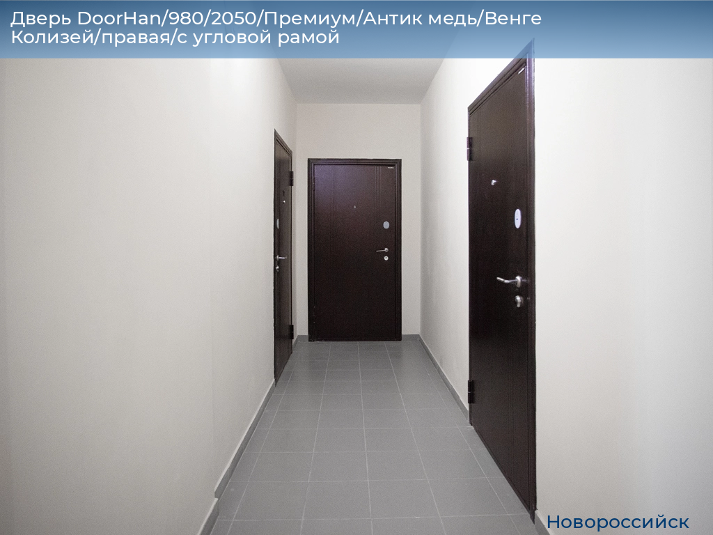 Дверь DoorHan/980/2050/Премиум/Антик медь/Венге Колизей/правая/с угловой рамой, novorossiysk.doorhan.ru